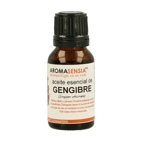 JENGIBRE 15 ML BOTELLA
