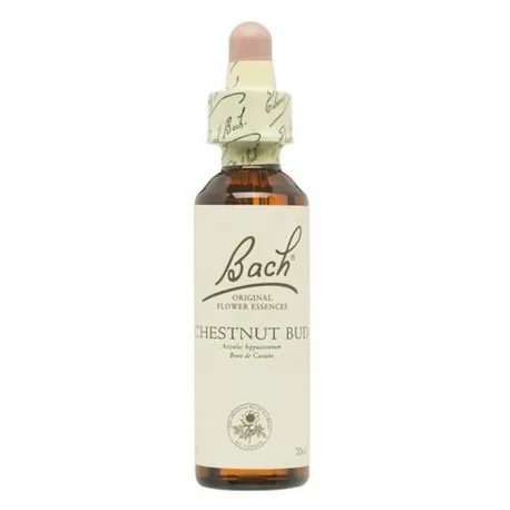 BACH (07) CHESTNUT BUD 20 ML GOTERO