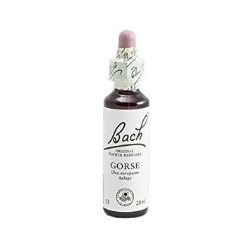 BACH (13) GORSE 20 ML GOTERO