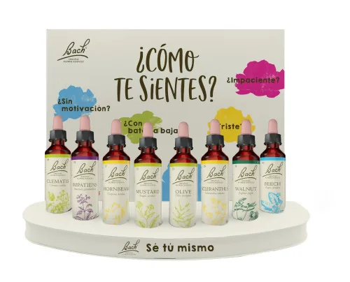 EXPOSITOR BACH SINGLES PACK TARDOR 8/U