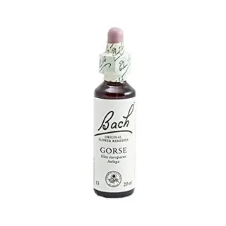 GORSE (13) 20 ML GOTERO - BACH (FLORES, RESCUE)