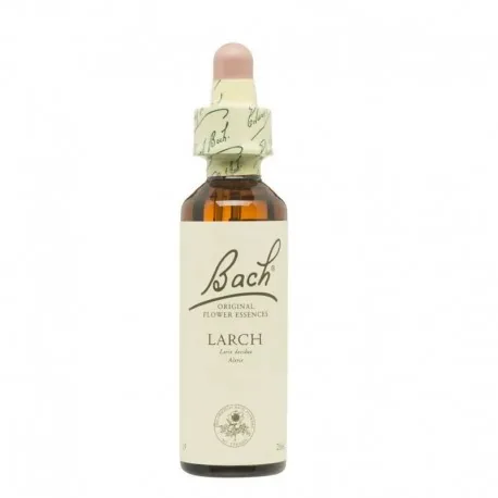 LARCH (19) 20 ML GOTERO