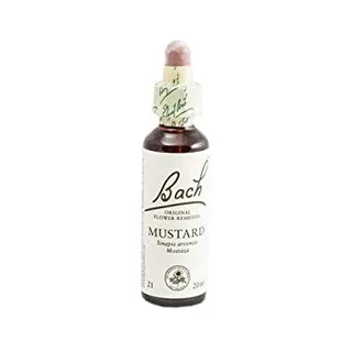 MUSTARD (21) 20 ML GOTERO - BACH (FLORES, RESCUE)
