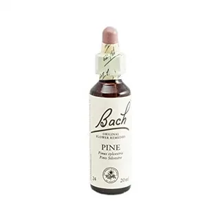 PINE (24) 20 ML GOTERO - BACH (FLORES, RESCUE)