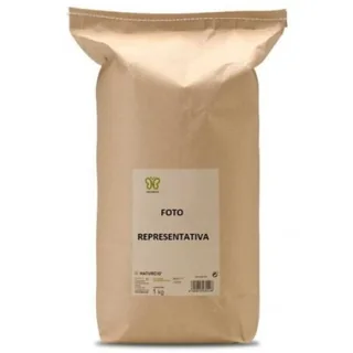 GINKGO BILOBA 1 KG BOLSA - NATURCID  ALIMENTACION NATURAL