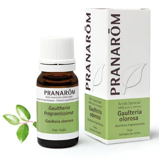 GAULTERIA OLOROSA BIO - PRANAROM 10 ML BOTELLA - PRANAROM