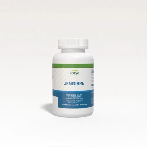 JENGIBRE 430 MG X120 CAPSULAS