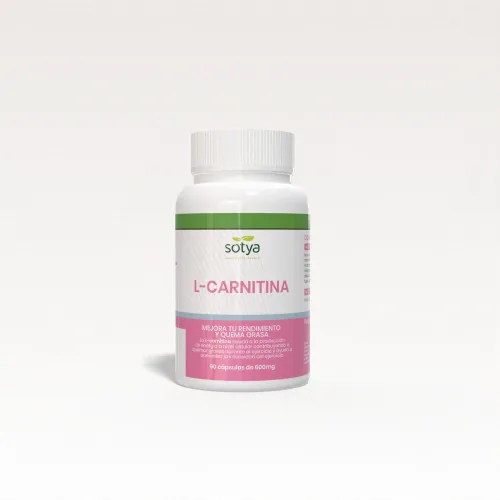 L-CARNITINA 600 MG X90 CAPSULAS