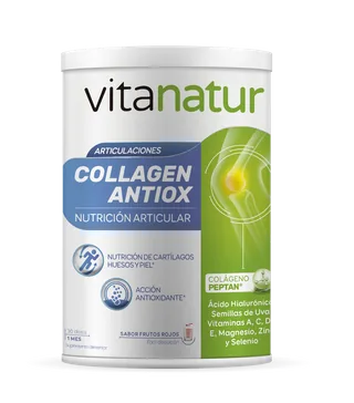 COLLAGEN ANTIOX 360 GRS POLVO - VITANATUR