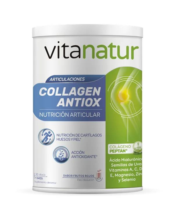 COLLAGEN ANTIOX 360 GRS POLVO